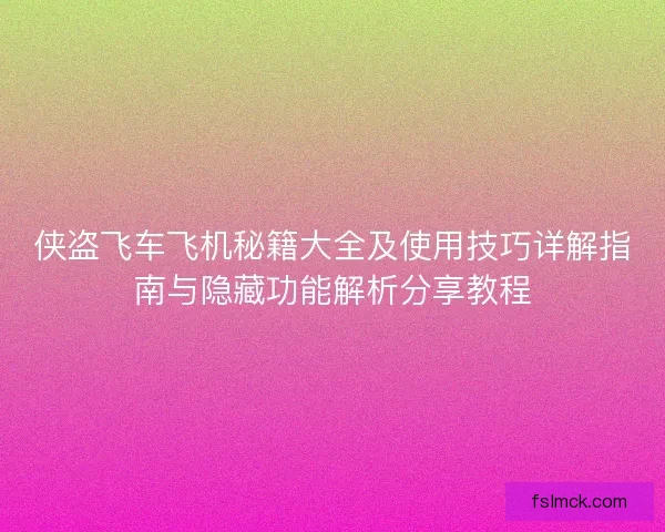侠盗飞车飞机秘籍大全及使用技巧详解指南与隐藏功能解析分享教程